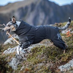 Haalari Hurtta Extreme Overall, eri kokoja, harmaa hinta ja tiedot | Koiran vaatteet | hobbyhall.fi