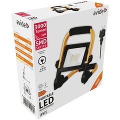 Sisäänrakennettu LED-valonheitin Avide 30W hinta ja tiedot | Avide Piha ja puutarha | hobbyhall.fi