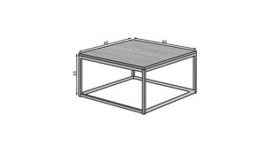 Sohvapöytä Belten 65x65cm, harmaa/musta hinta ja tiedot | Sohvapöydät | hobbyhall.fi