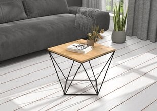 Sohvapöytä Diana 50x50cm, ruskea/musta hinta ja tiedot | Sohvapöydät | hobbyhall.fi