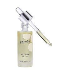 Kasvoöljy Gallinee Microbiome Skincare, 30 ml hinta ja tiedot | Kasvoöljyt ja seerumit | hobbyhall.fi