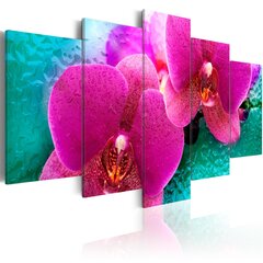 Kuva - Exotic orchids hinta ja tiedot | Taulut | hobbyhall.fi