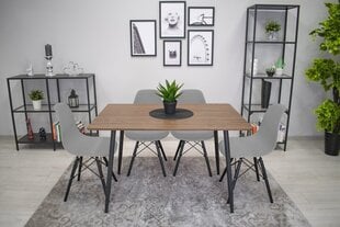Tool Osaka, harmaa/musta hinta ja tiedot | Ruokapöydän tuolit | hobbyhall.fi