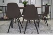 Tuoli Osaka, musta hinta ja tiedot | Ruokapöydän tuolit | hobbyhall.fi