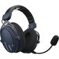 Dark Project HS4 Wireless hinta ja tiedot | Kuulokkeet | hobbyhall.fi