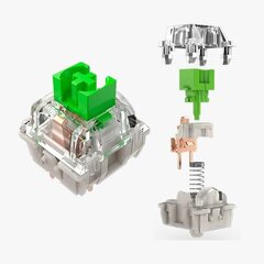 Razer Green Switches X 36 hinta ja tiedot | Näppäimistöt | hobbyhall.fi