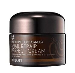 Mizon Snail Repair Perfect Cream 50ml hinta ja tiedot | Mizon Kasvojenhoitotuotteet | hobbyhall.fi