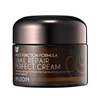 Mizon Snail Repair Perfect Cream 50ml hinta ja tiedot | Kasvovoiteet | hobbyhall.fi