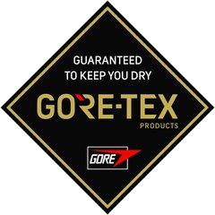 ZIENER lumilautahanskat MARE GORE-TEX + Gore plus hinta ja tiedot | Miesten hatut, huivit ja käsineet | hobbyhall.fi