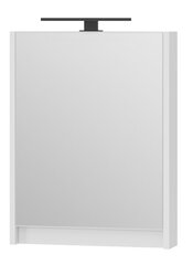Peilikaappi Leomc-50, valkoinen hinta ja tiedot | Kylpyhuonekaapit | hobbyhall.fi