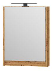 Peilikaappi Leomc-50, ruskea hinta ja tiedot | Kylpyhuonekaapit | hobbyhall.fi