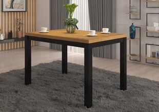 Sohvapöytä Olaf 2, 120x80cm, ruskea/musta hinta ja tiedot | Sohvapöydät | hobbyhall.fi