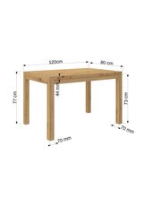 Sohvapöytä Olaf 2, 120x80cm, vaaleanruskea hinta ja tiedot | Sohvapöydät | hobbyhall.fi