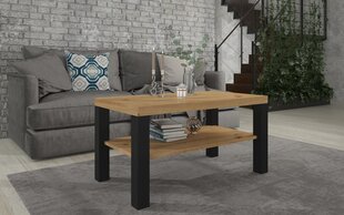 Sohvapöytä Gomez, 100x55cm, ruskea/musta hinta ja tiedot | Sohvapöydät | hobbyhall.fi