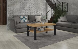 Sohvapöytä Sven, 115x65cm, ruskea/musta hinta ja tiedot | Sohvapöydät | hobbyhall.fi