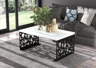 Sohvapöytä Semara 100x60cm, valkoinen/musta hinta ja tiedot | Sohvapöydät | hobbyhall.fi