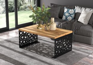 Sohvapöytä Rina, 100x60cm, ruskea/musta hinta ja tiedot | Sohvapöydät | hobbyhall.fi