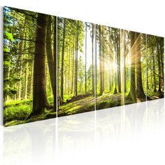 Kuva - Sunlight hinta ja tiedot | Artgeist Huonekalut ja sisustus | hobbyhall.fi