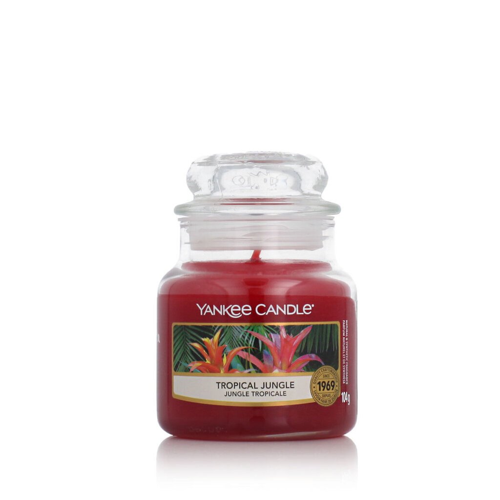 Yankee Candle Aromaattinen kynttilä Classic Small Tropical Jungle 104g hinta ja tiedot | Kynttilät ja kynttilänjalat | hobbyhall.fi