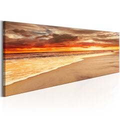 Kuva - Beach: Beatiful Sunset hinta ja tiedot | Taulut | hobbyhall.fi