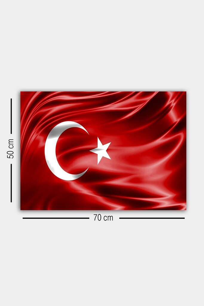 Turkin lippu -sisustustaulu hinta 