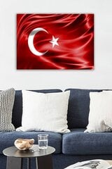 Turkin lippu -sisustustaulu hinta ja tiedot | Taulut | hobbyhall.fi