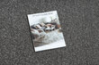 Rugsx Karmel -matto, 200x150 cm, harmaa hinta ja tiedot | Isot matot | hobbyhall.fi