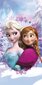 Pyyhe Disney Frozen Snowflake, 70 x 140 cm hinta ja tiedot | Pyyhkeet | hobbyhall.fi