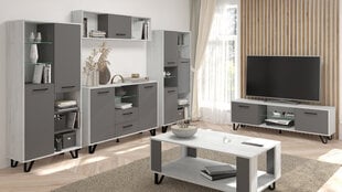 Sohvapöytä Boss - BOS-06 2D, valkoinen/grafiitinharmaa hinta ja tiedot | Sohvapöydät | hobbyhall.fi