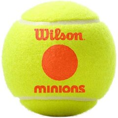 Ulkotennispallot Wilson Starter Orange Minions 3 kpl hinta ja tiedot | Wilson Tennis | hobbyhall.fi