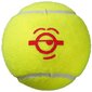 Ulkotennispallot Wilson Starter Red Minions 3 kpl hinta ja tiedot | Tennisvälineet | hobbyhall.fi