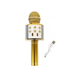 Karaoke-mikrofoni-kaiutin WS-858 äänenmuokkaus-efekteillä hinta ja tiedot | Kehittävät lelut | hobbyhall.fi
