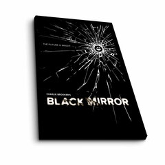 Taulu Black Mirror hinta ja tiedot | Taulut | hobbyhall.fi