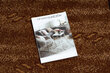 Rugsx matto BCF Filip, 64x230 cm hinta ja tiedot | Isot matot | hobbyhall.fi