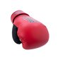 Nyrkkeilyhanskat Brute Sparring Boxing Gloves, punainen, 8 hinta ja tiedot | Kamppailulajit | hobbyhall.fi