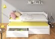 Lasten sänky ADRK Furniture Tiarro 90x200 cm, valkoinen/ruskea hinta ja tiedot | Lastensängyt | hobbyhall.fi