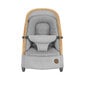 Maxi Cosi sitteri Kori, Essential Grey hinta ja tiedot | Sitterit | hobbyhall.fi