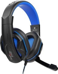 Steelplay Wired Stereo Headset Hp41 (Ps4/Xbox One/PC) - Black & Blue hinta ja tiedot | Steel Play Tietokoneet ja pelaaminen | hobbyhall.fi