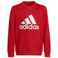 Poikien collegepaita Adidas Big Logo Swt Jr HN1911 hinta ja tiedot | Poikien puserot, liivit ja jakut | hobbyhall.fi