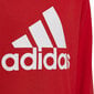 Poikien collegepaita Adidas Big Logo Swt Jr HN1911 hinta ja tiedot | Poikien puserot, liivit ja jakut | hobbyhall.fi