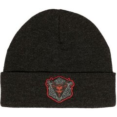 Jinx Diablo IV Daughter of Hatred Beanie Charcoal Heather hinta ja tiedot | Pelien oheistuotteet | hobbyhall.fi