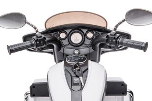 Kolmipyöräinen sähkömoottoripyörä lapsille Goldwing NEL-R1800GS, valkoinen hinta ja tiedot | Lasten sähköautot | hobbyhall.fi