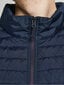 Miesten liivi Jjerush 12205347, Navy Blazer hinta ja tiedot | Miesten liivit | hobbyhall.fi