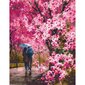 Numeromaalaussarja Blooming park (40x50cm) hinta ja tiedot | Maalaa numeroiden mukaan | hobbyhall.fi