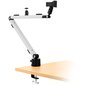 Streamplify MOUNT ARM, White hinta ja tiedot | Mikrofonit | hobbyhall.fi