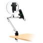 Streamplify MOUNT ARM, White hinta ja tiedot | Mikrofonit | hobbyhall.fi