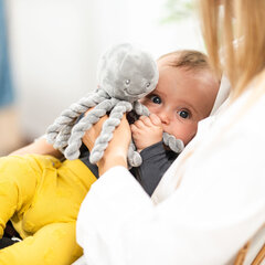 Nattou Octobus -mustekala, harmaa hinta ja tiedot | Vauvan lelut | hobbyhall.fi