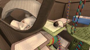 House Flipper: Pets Edition hinta ja tiedot | Merge Games Tietokoneet ja pelaaminen | hobbyhall.fi