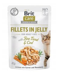 Brit Care aikuisille kissoille kanan ja taimenen kanssa, 24x85 g hinta ja tiedot | Kissanruoka | hobbyhall.fi