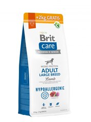 Brit Care Hypoallergenic Adult Lamb&Rice aikuisille koirille lammasta ja riisiä, 12+2kg hinta ja tiedot | Koiran kuivaruoka | hobbyhall.fi